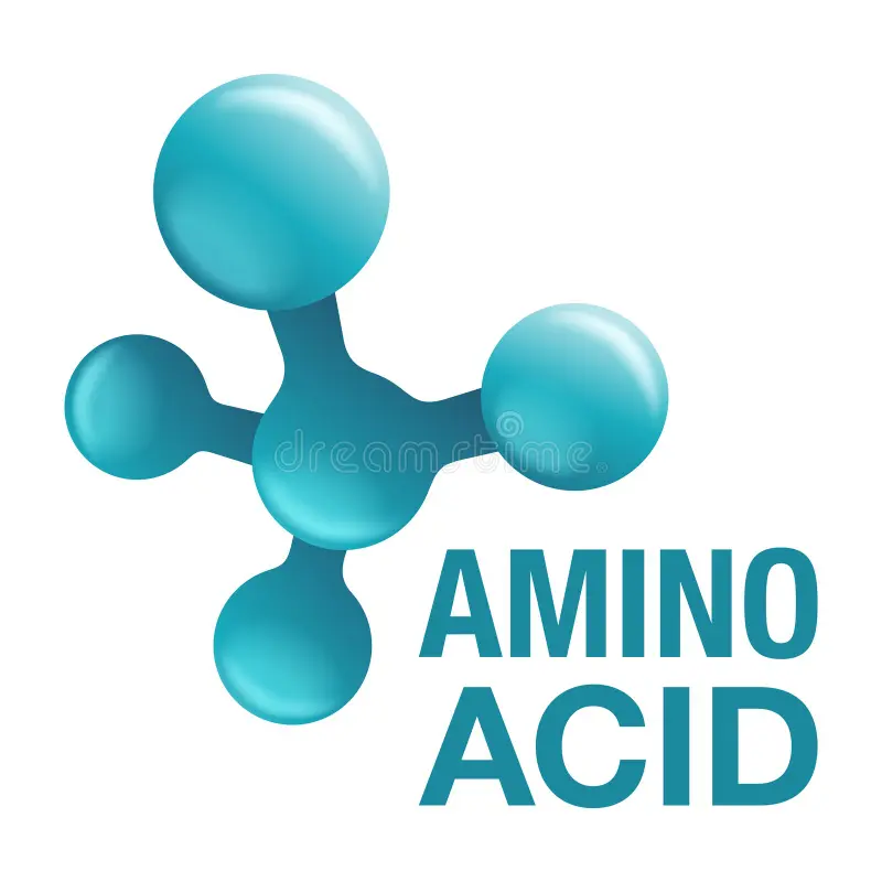 Amino Acids