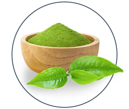 Green Tea